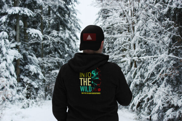 Cool Bear design - Image 2